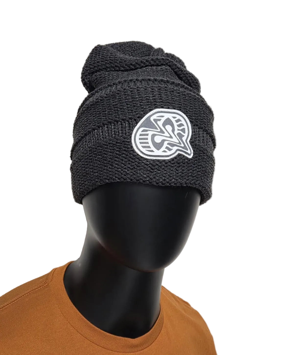 Divergent: Beanie